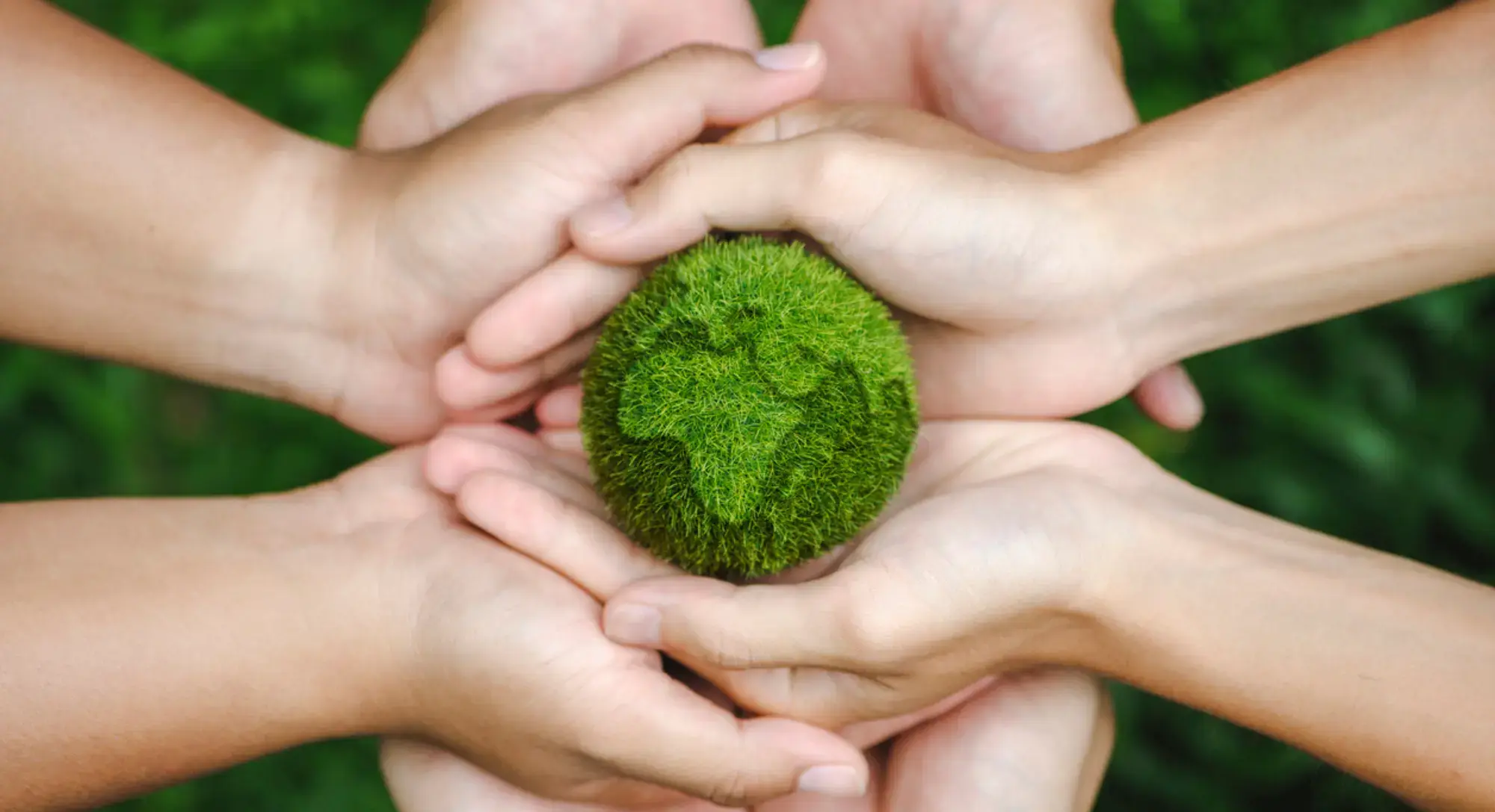 Sustainable Media - Abintus Consulting